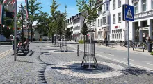 Platz für Natur im urbanen Raum: Stabile Baumschutzgitter geben den jungen Stadtbäumen die nötige Starthilfe, um gesund zu wachsen und Schatten zu spenden. 